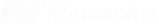 Metaspins logo